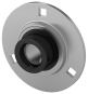 morepic-1